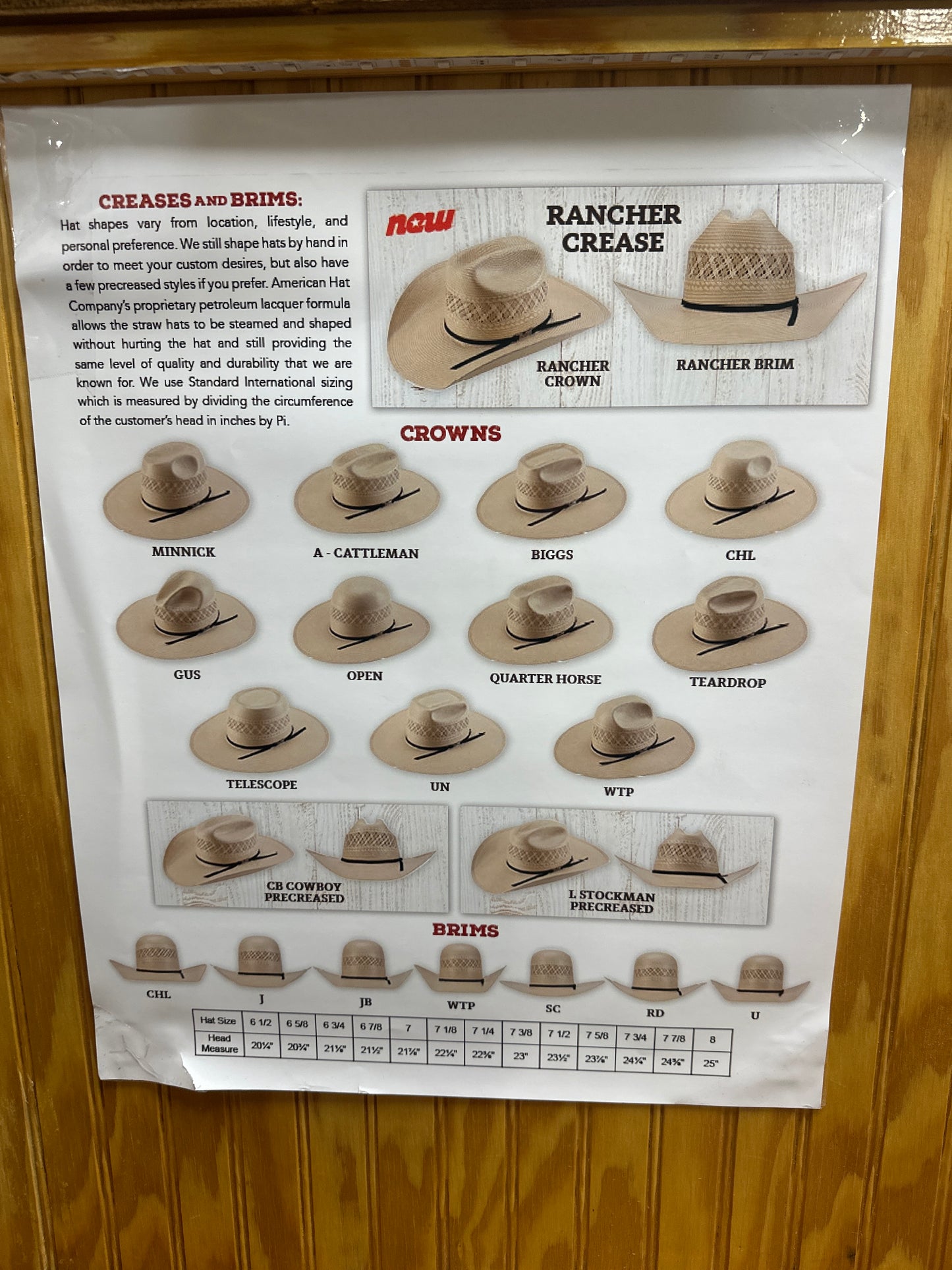 10x Grizzly Silverbelly Rodeo king