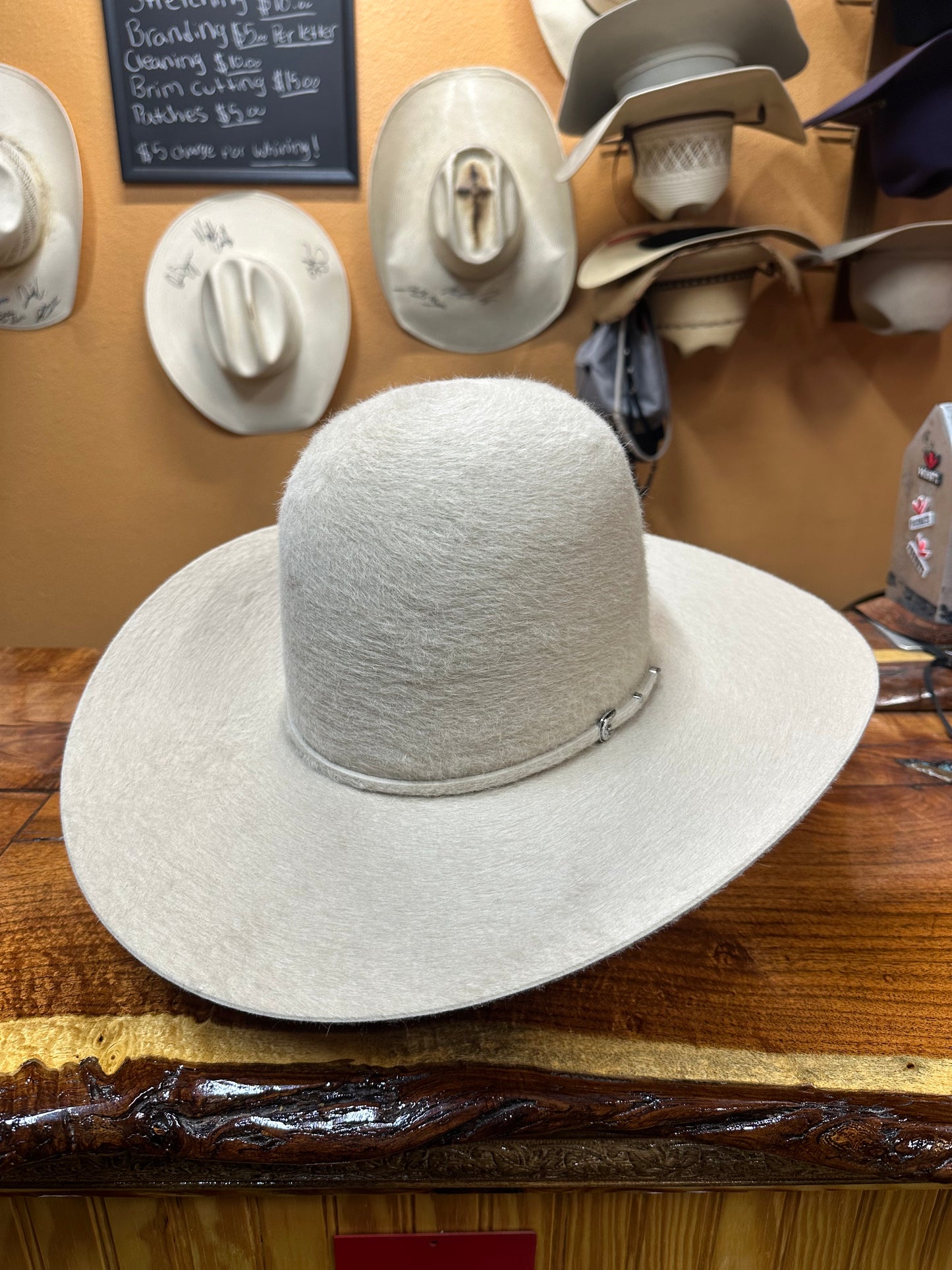 10x Grizzly Silverbelly Rodeo king